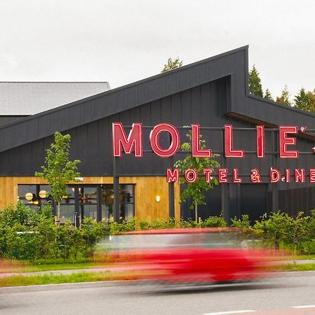 Mollie'S Motel & Diner Bristol Filton 외부 사진