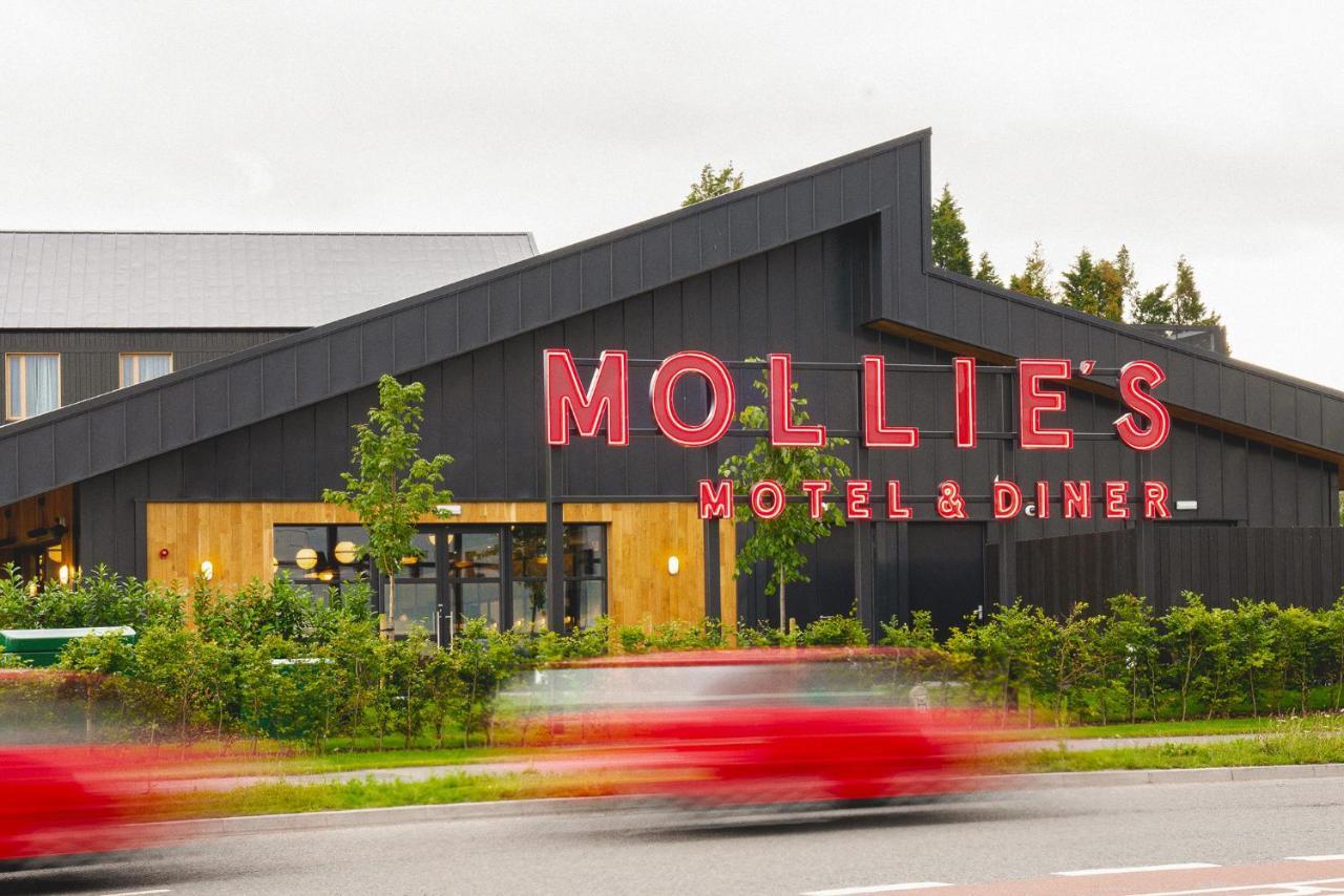 Mollie'S Motel & Diner Bristol Filton 외부 사진